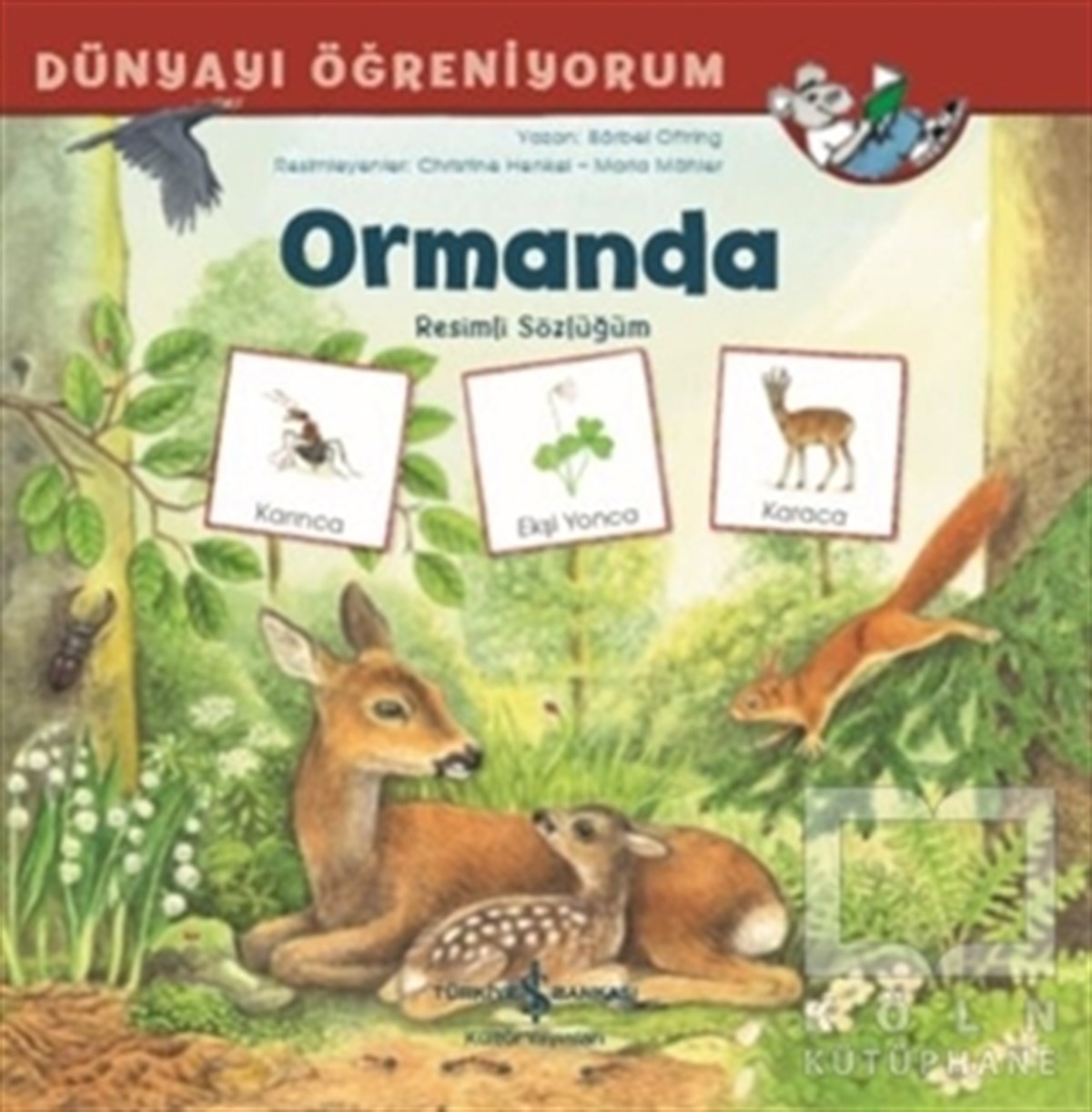 Barbel OftringOkul Öncesi Resimli KitaplarOrmanda - Dünyayı Öğreniyorum