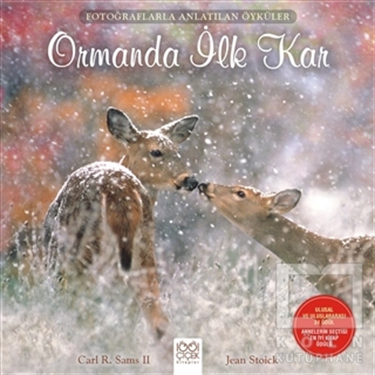 Ormanda İlk Kar