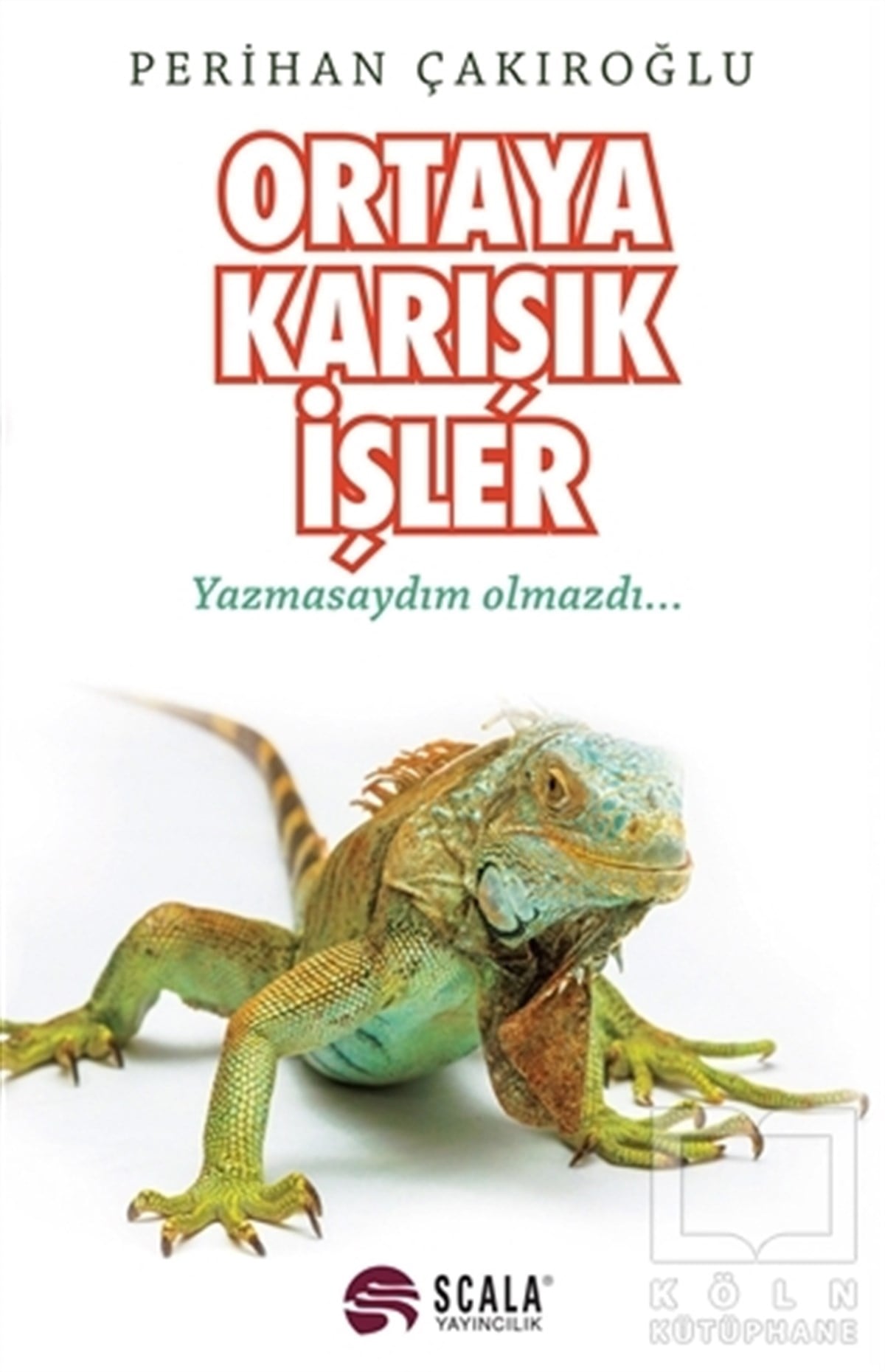 Perihan ÇakıroğluGüncel SiyasetOrtaya Karışık İşler