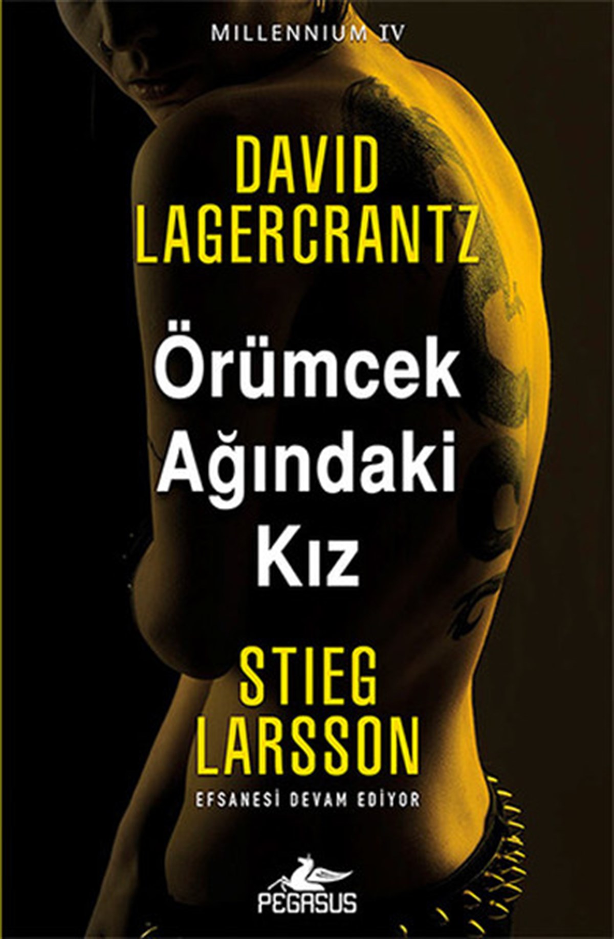 Dilara Anıl ÖzgenPolisiye Romanlar & Cinayet RomanlarıÖrümcek Ağındaki Kız Millennium Serisi 4.Kitap