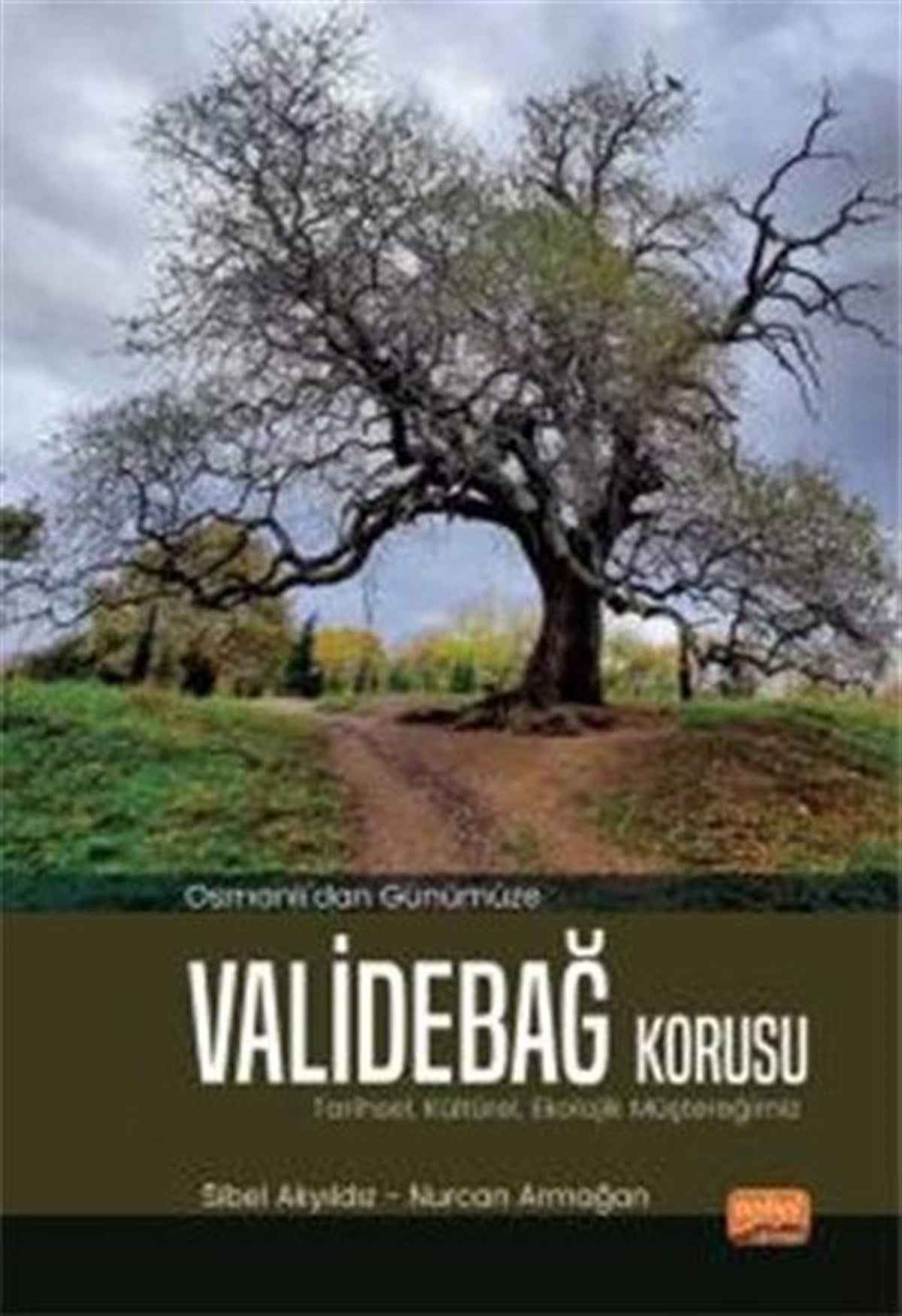 Sibel AkyıldızOsmanli TarihiOsmanlı'dan Günümüze Validebağ Korusu: Tarihsel Kültürel Ekolojik Müştereğimiz