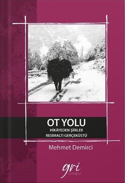 Mehmet DemirciGeschichten Ot Yolu - Hikayeden Şiirler - Resimaltı Gerçeküstü