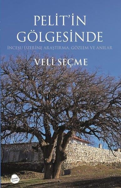 Veli SeçmeAnı & Mektup & Günlük KitaplarıPelit'in Gölgesinde - İncesu Üzerine Araştırma Gözlem ve Anılar