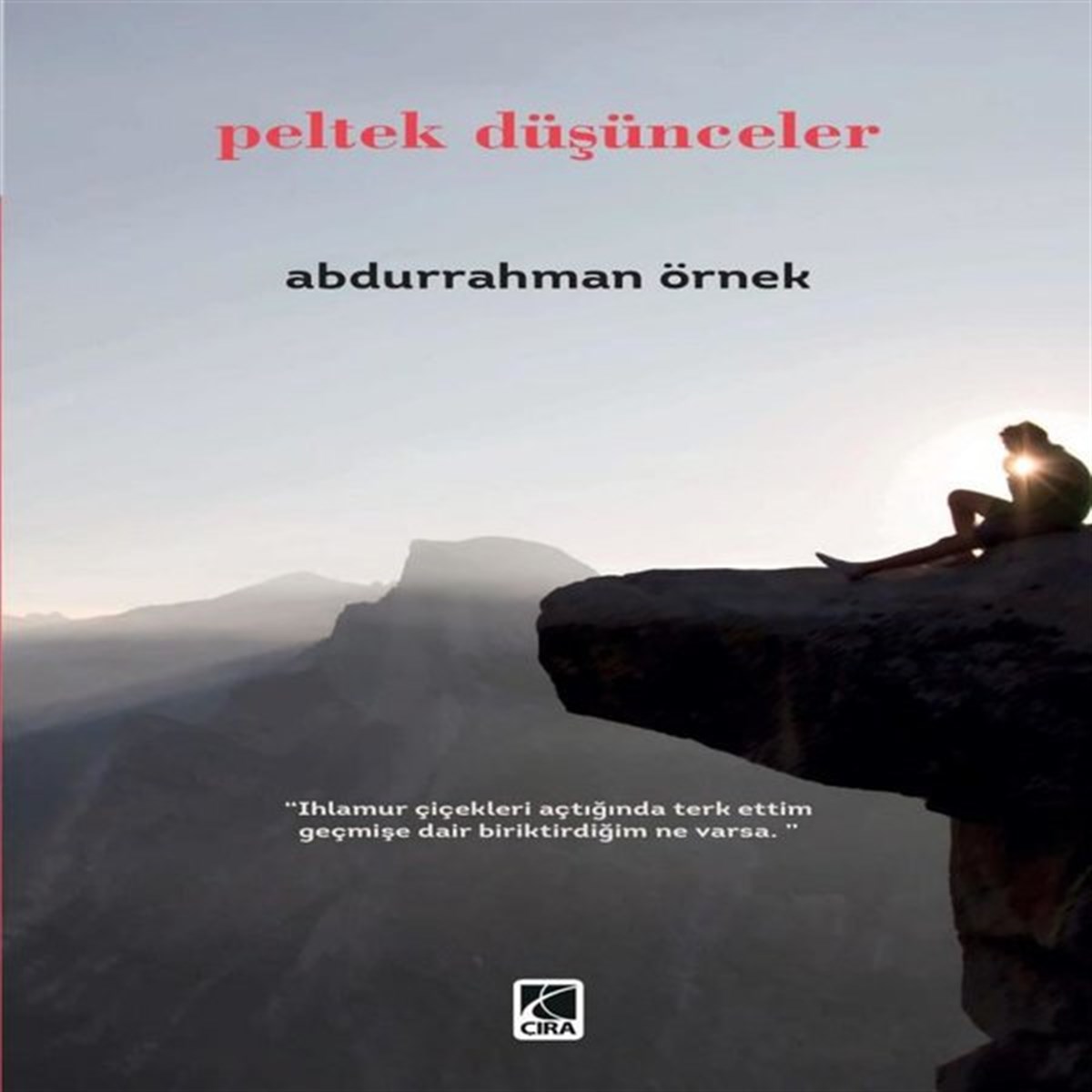 Abdurrahman ÖrnekTürkiye RomanPeltek Düşünceler