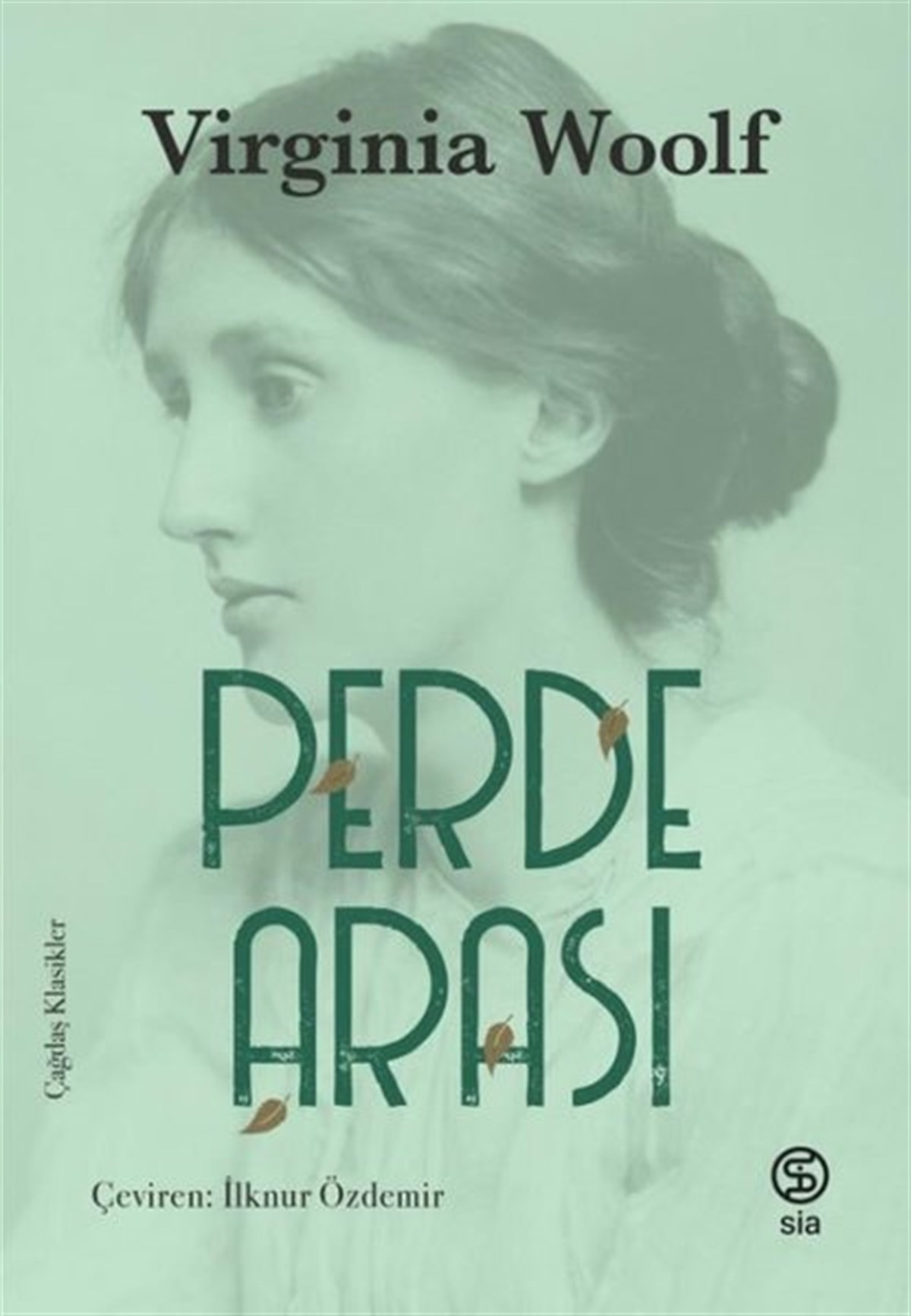 Virginia WoolfWeltklassikerPerde Arası-Çağdaş Klasikler