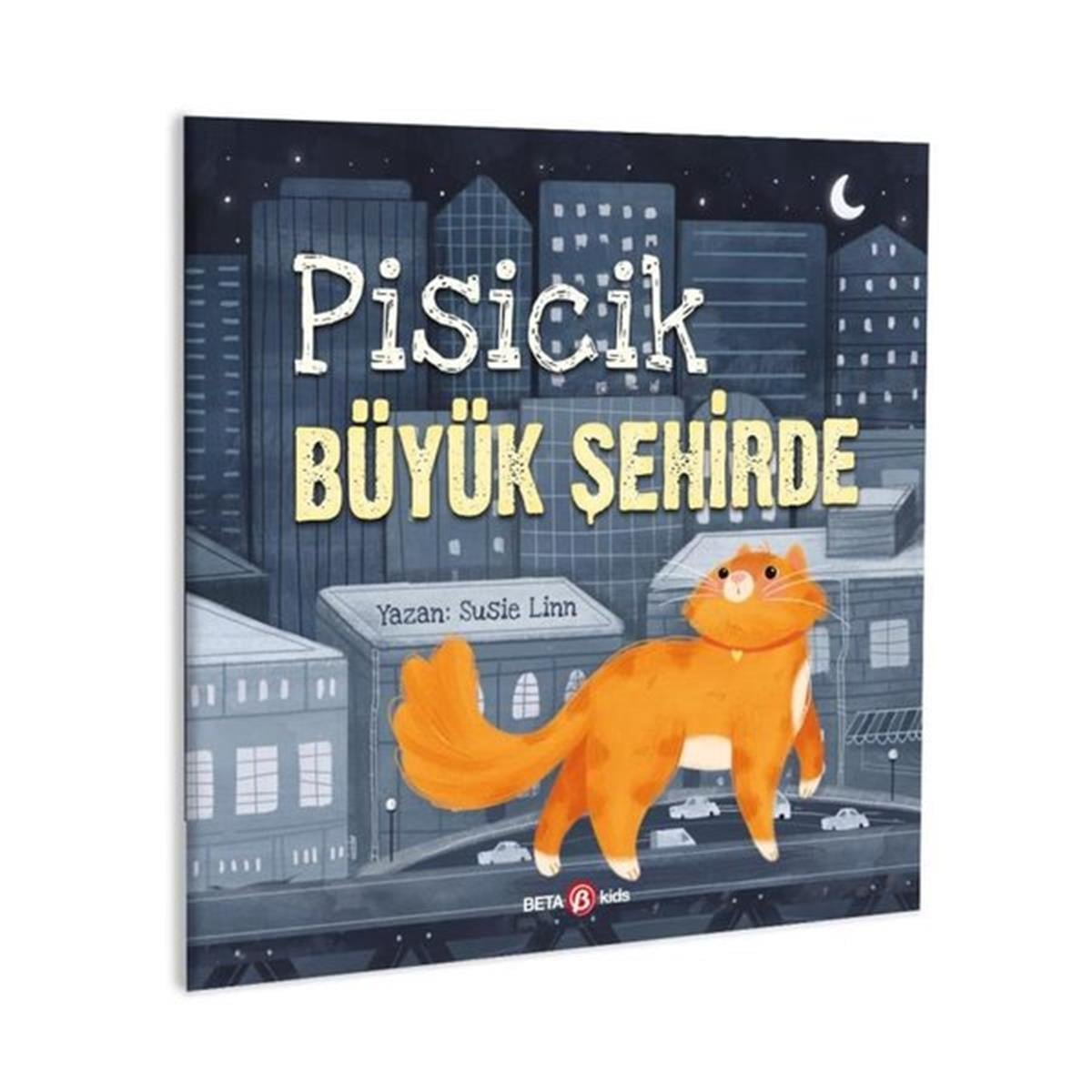 Susie LinnEgitim Etkinlik KitaplariPisicik Büyük Şehirde
