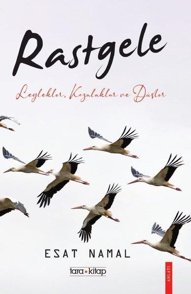 Esat NamalAnlatıRastgele - Leylekler Kozalaklar ve Düşler