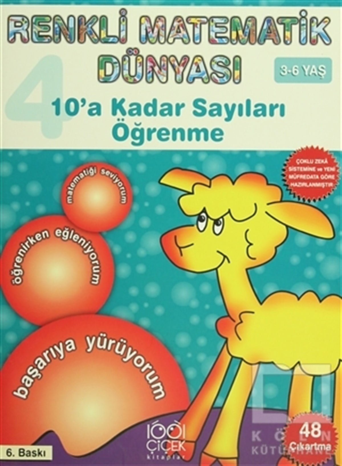 Renkli Matematik Dünyası 4