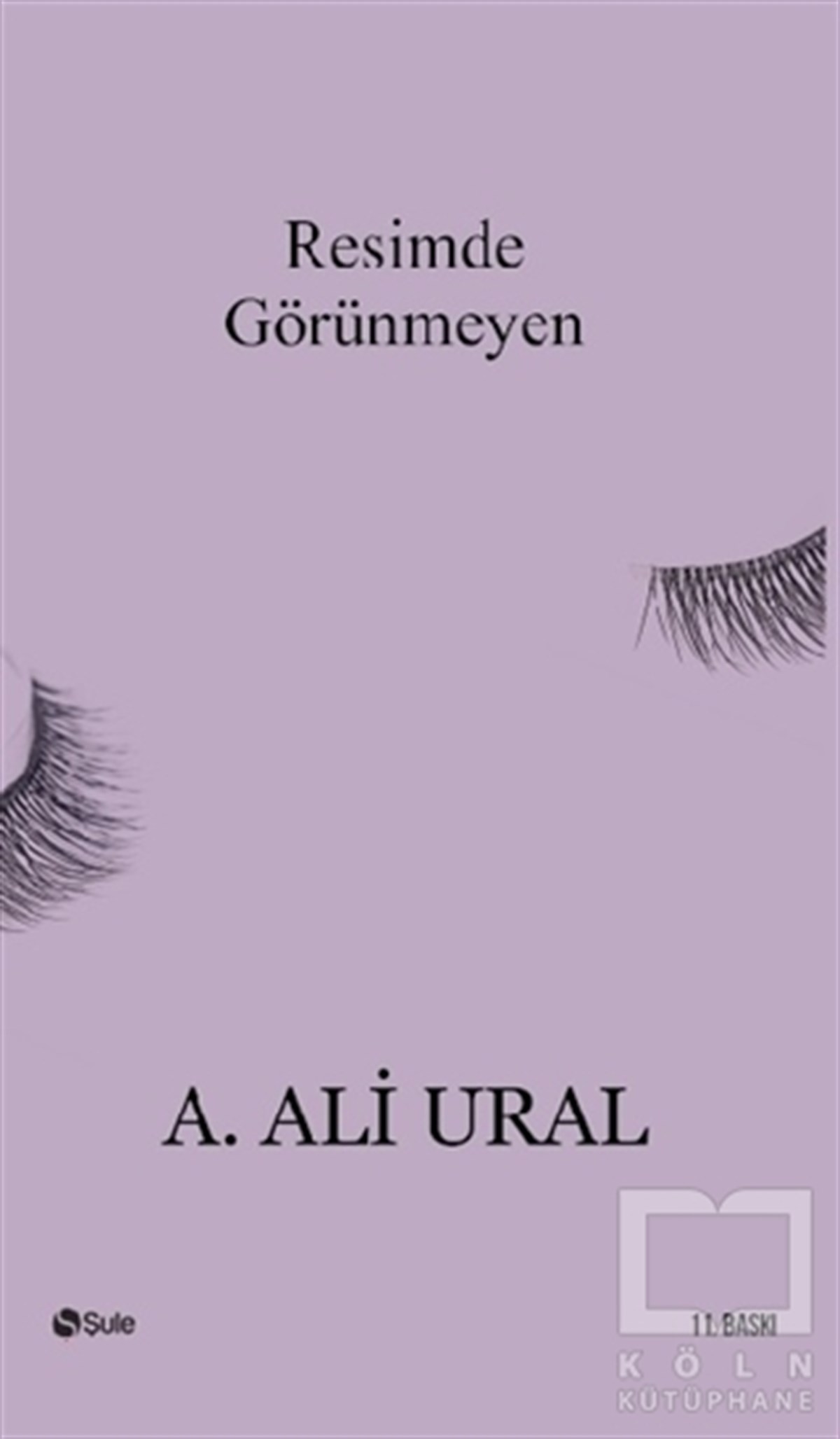 Resimde Görünmeyen