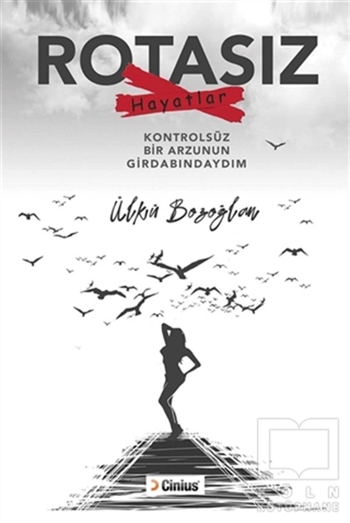 Ülkü BozoğlanTürkische RomaneRotasız Hayatlar