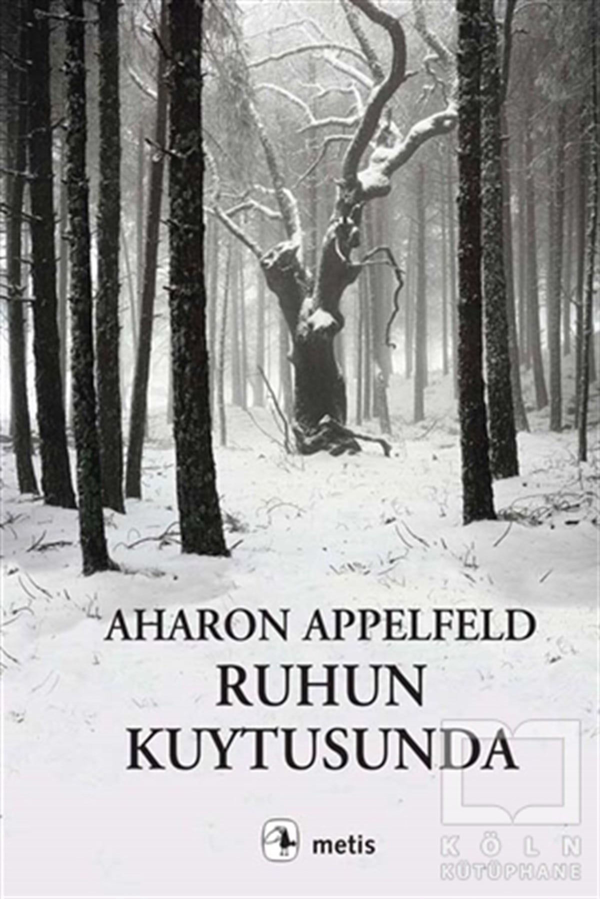 Aharon AppelfeldRomanRuhun Kuytusunda