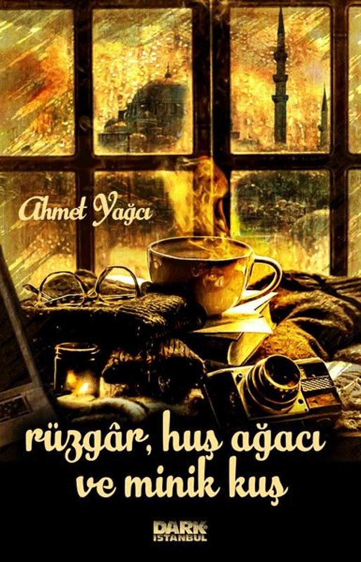 Ahmet YağcıHikaye (Öykü) KitaplarıRüzgar Kuş Ağacı ve Minik Kuş