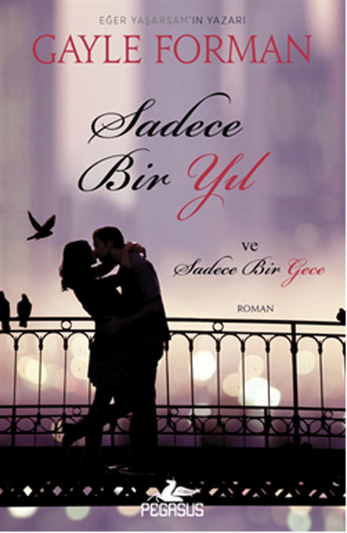 Cansu GümüşLiebesromaneSadece Bir Yıl ve Sadece Bir Gece