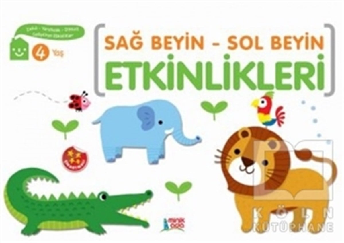 Sağ Beyin - Sol Beyin Etkinlikleri (4 Yaş)