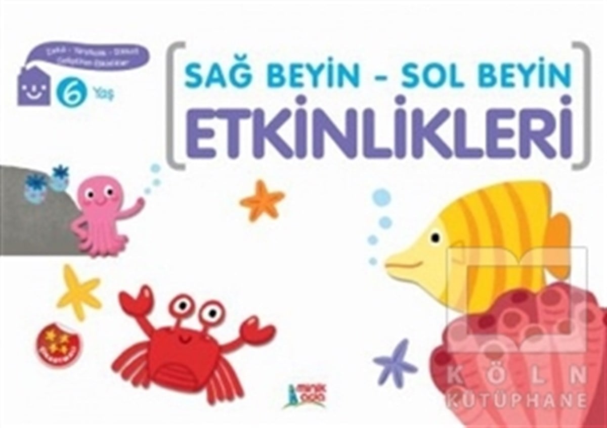 Elif KonarDiğerSağ Beyin - Sol Beyin Etkinlikleri (6 Yaş)
