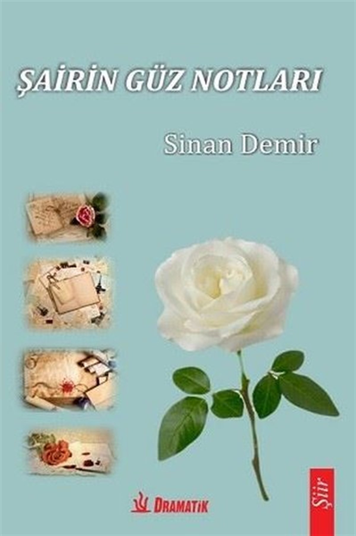 Sinan DemirTürk ŞiiriŞairin Güz Notları