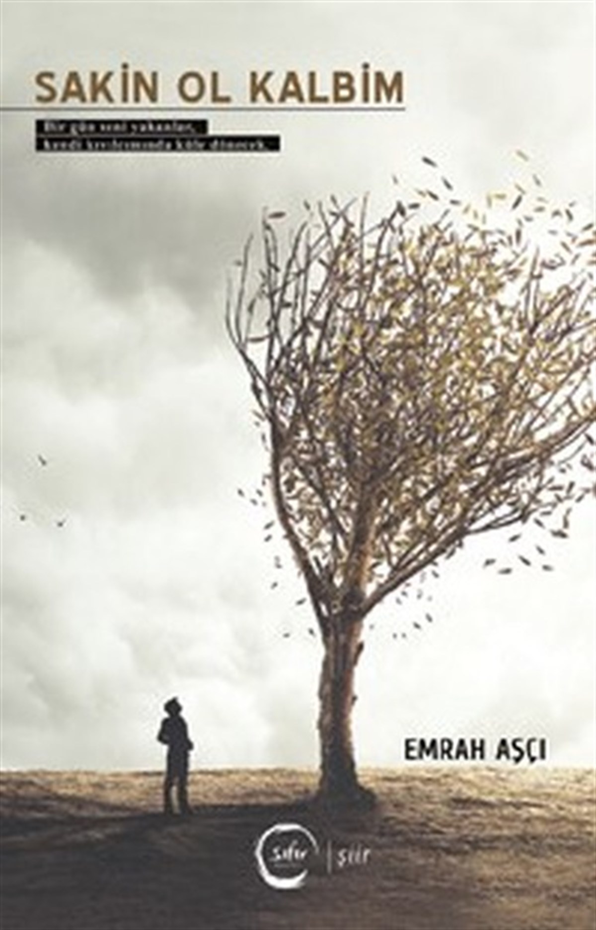 Emrah AşçıTürk ŞiiriSakin Ol Kalbim