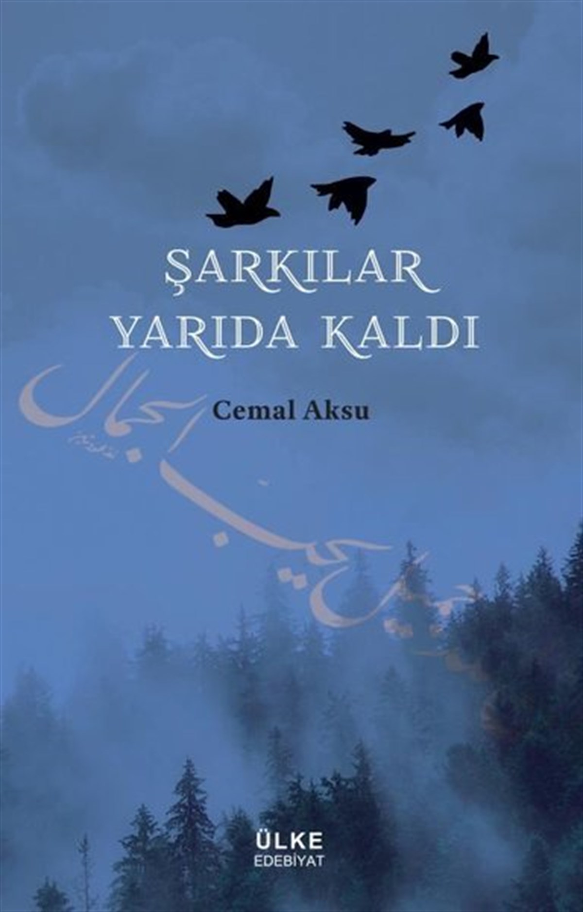 Cemal AksuTürk ŞiiriŞarkılar Yarıda Kaldı
