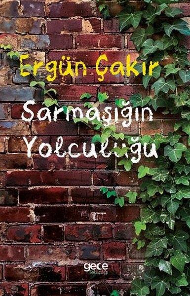 Ergün ÇakırTürkiye RomanSarmaşığın Yolculuğu