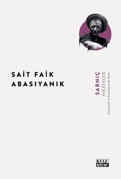 Sait Faik AbasıyanıkTürk RomaniSarnıç - Hikayeler