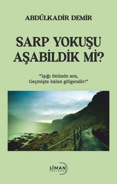 Abdülkadir DemirTürkiye RomanSarp Yokuşu Aşabildik mi?