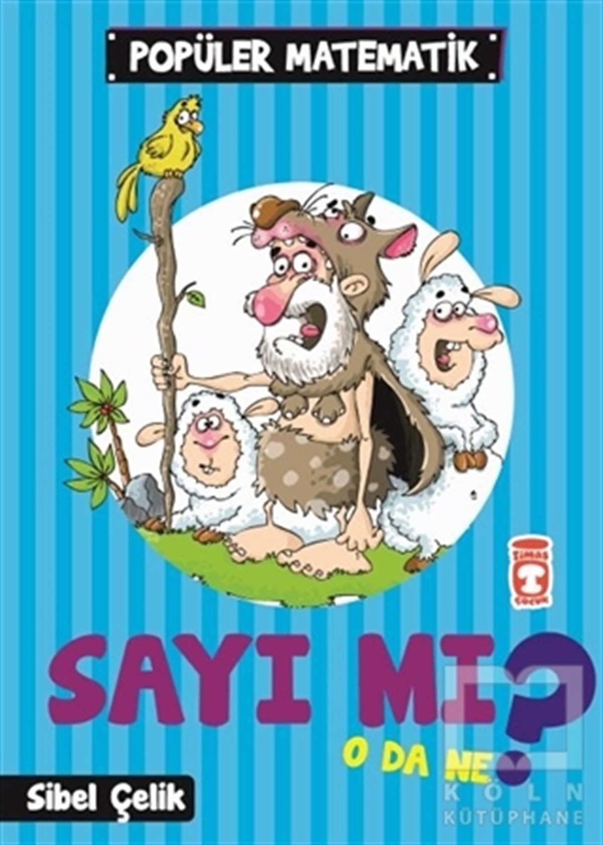 Popüler Matematik - Sayı mı O da Ne?