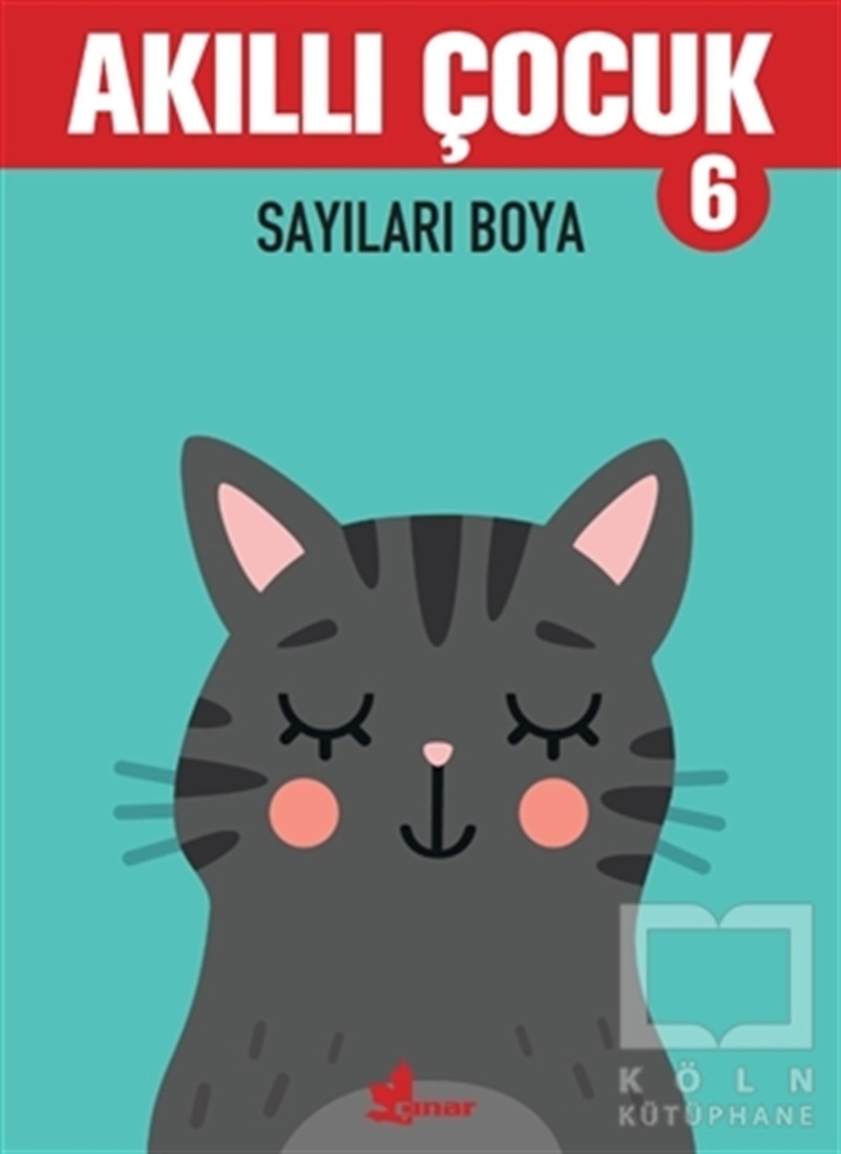 KolektifEtkinlik KitaplarıSayıları Boya - Akıllı Çocuk 6