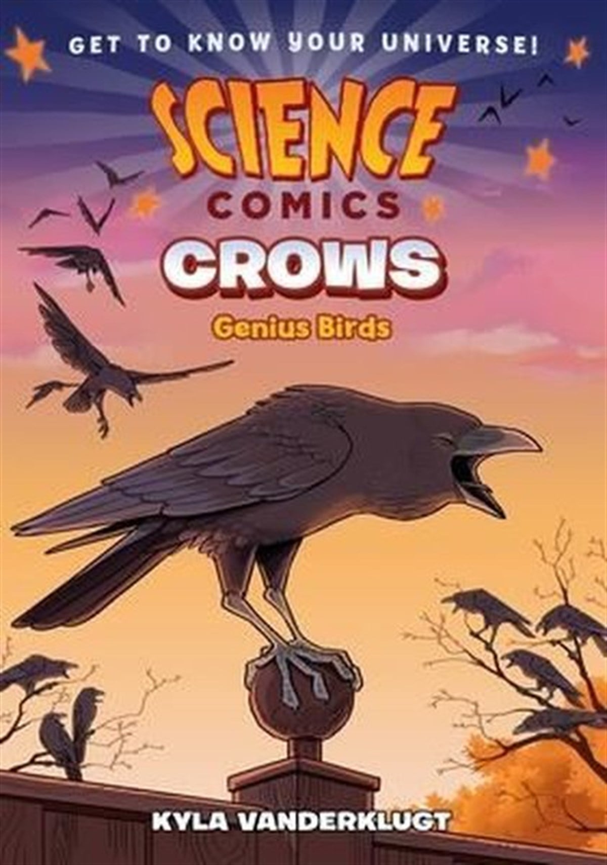 Kyla VanderklugtChildren InterestScience Comics: Crows : Genius Birds