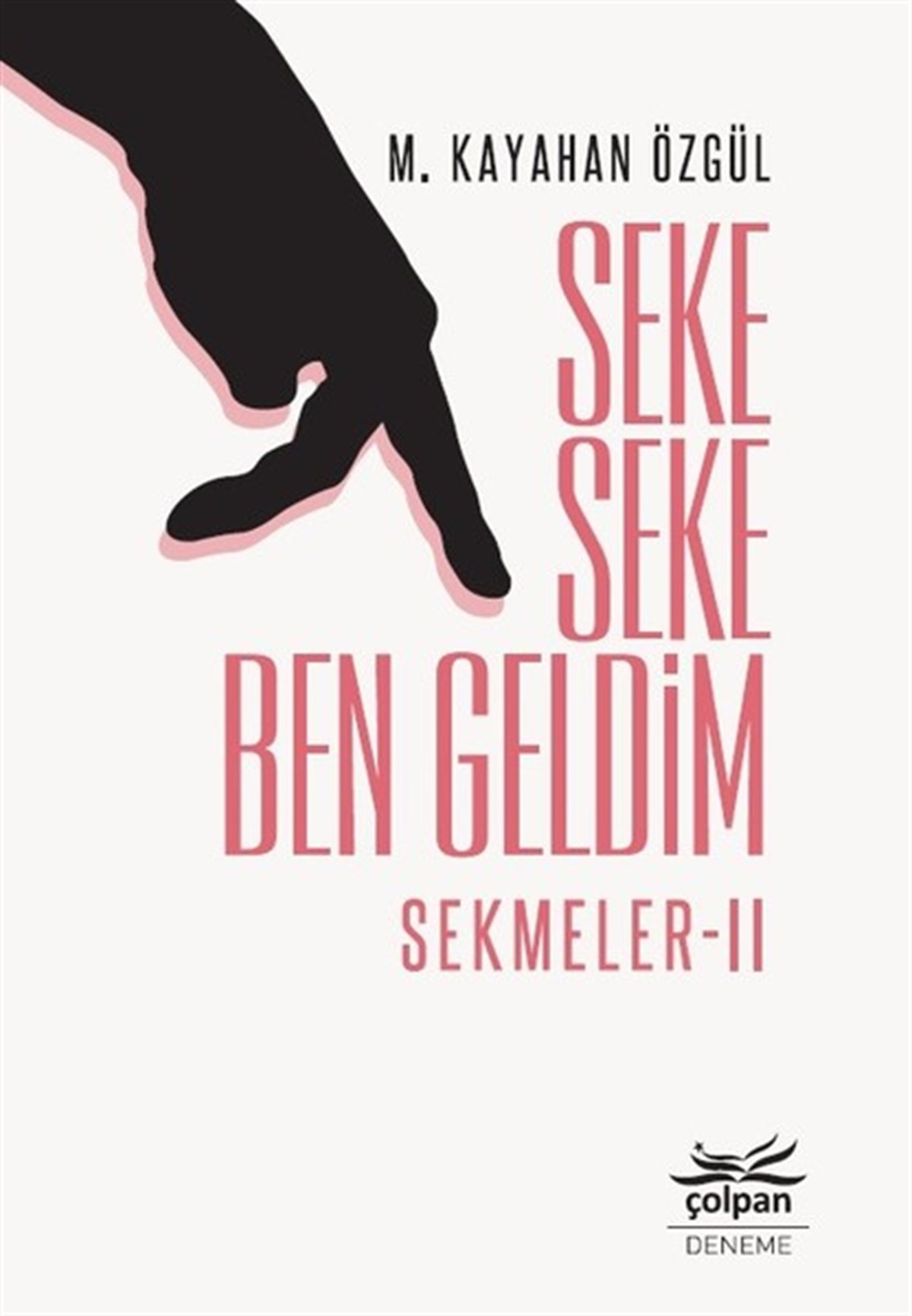 M. Kayahan ÖzgülEssay BücherSeke Seke Ben Geldim-Sekmeler 2
