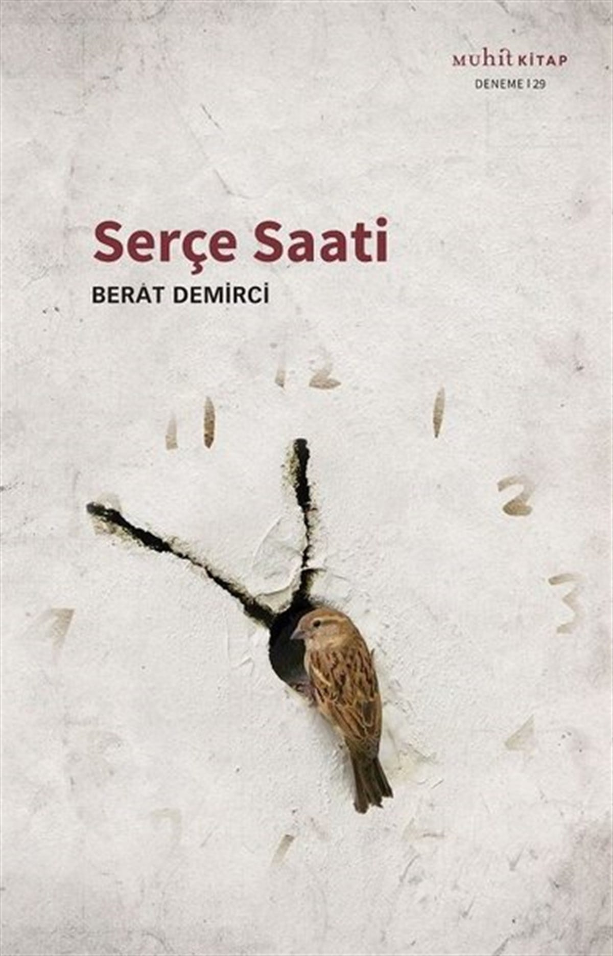 Berat DemirciDeneme KitaplarıSerçe Saati