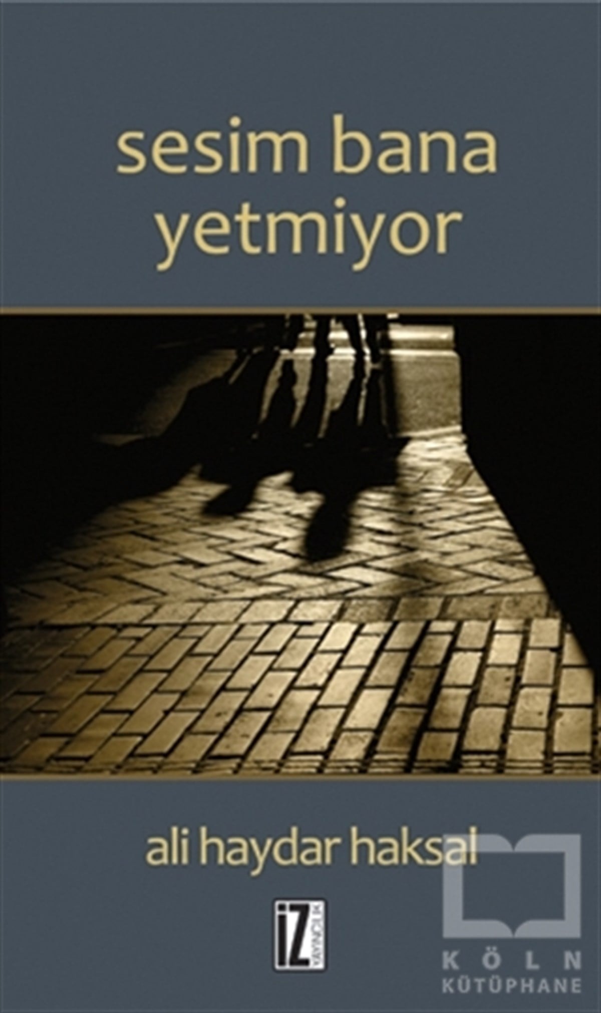 Ali Haydar HaksalÖyküSesim Bana Yetmiyor