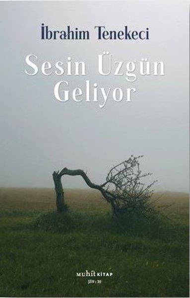 İbrahim TenekeciTürk ŞiiriSesin Üzgün Geliyor