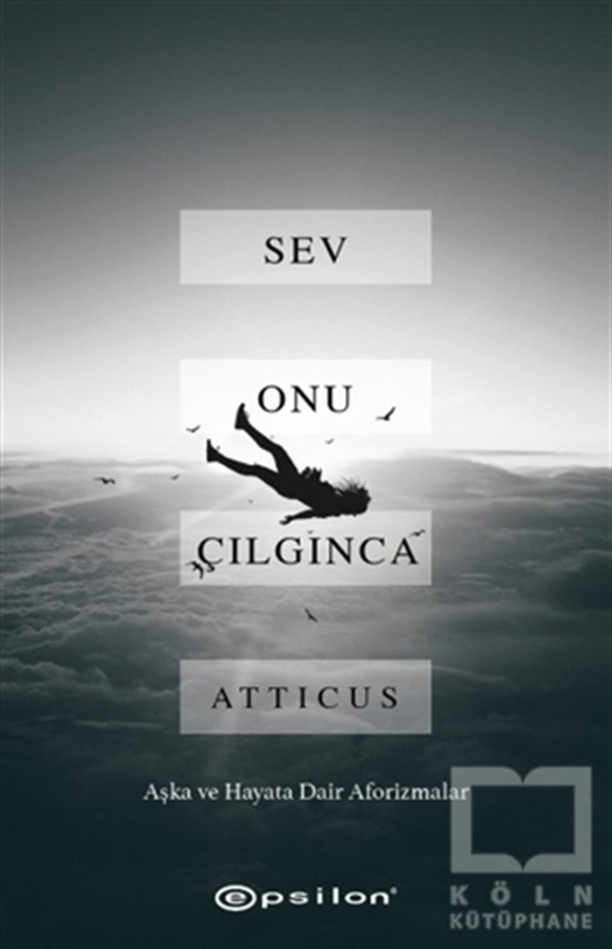 Sev Onu Çılgınca