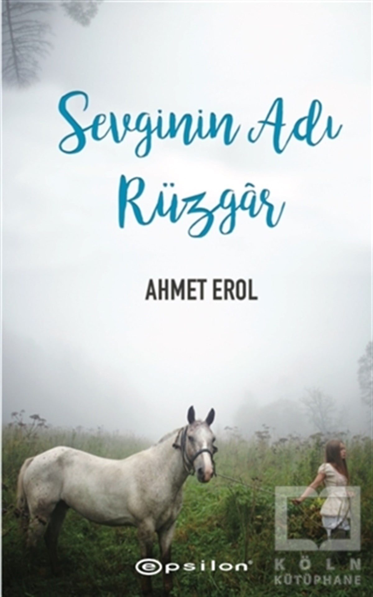 Ahmet ErolRomanSevginin Adı Rüzgar