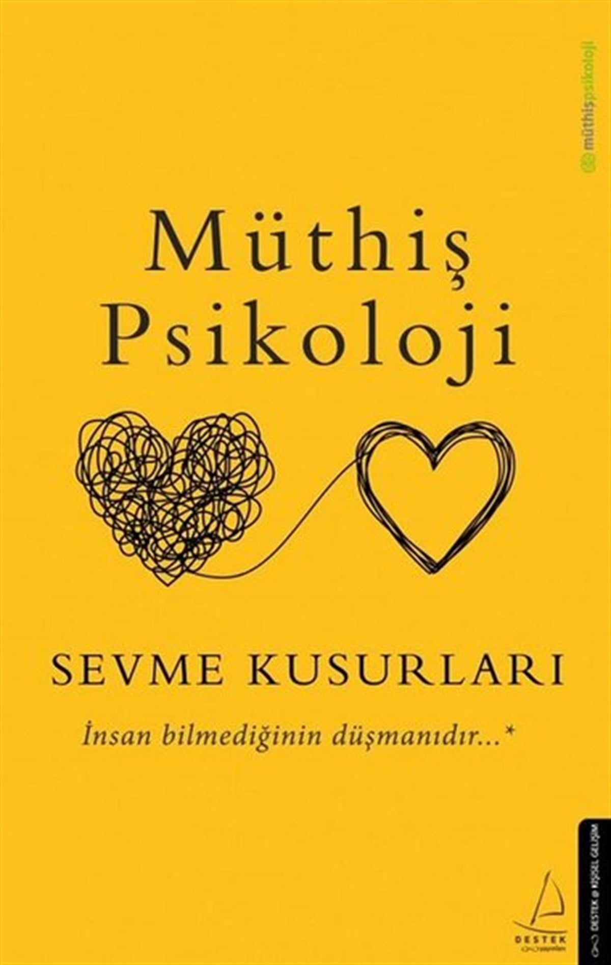 Müthiş PsikolojiKişisel Gelişim KitaplarıSevme Kusurları