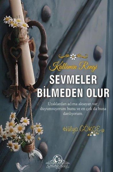 Hülya GökçeTürk ŞiiriSevmeler Bilmeden Olur - Kalbimin Rengi