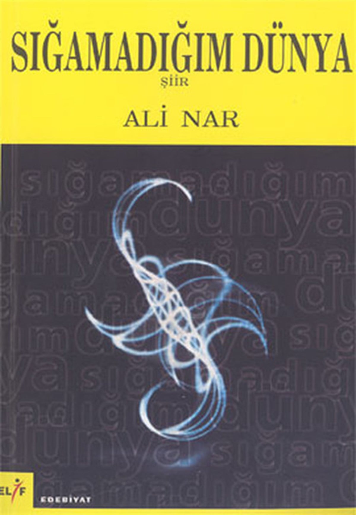 Ali NarTürk ŞiiriSığamadığım Dünya
