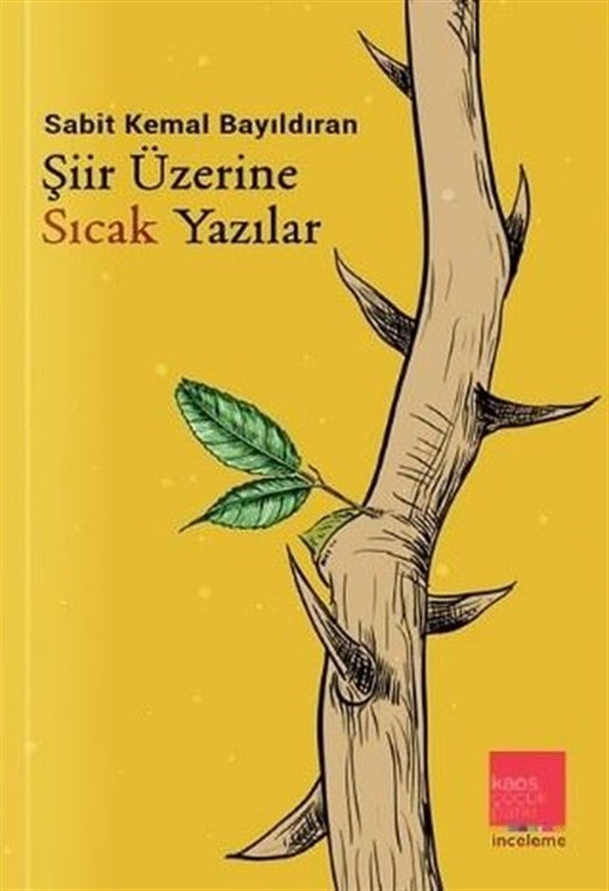 Sabit Kemal BayıldıranTürk ŞiiriŞiir Üzerine Sıcak Yazılar