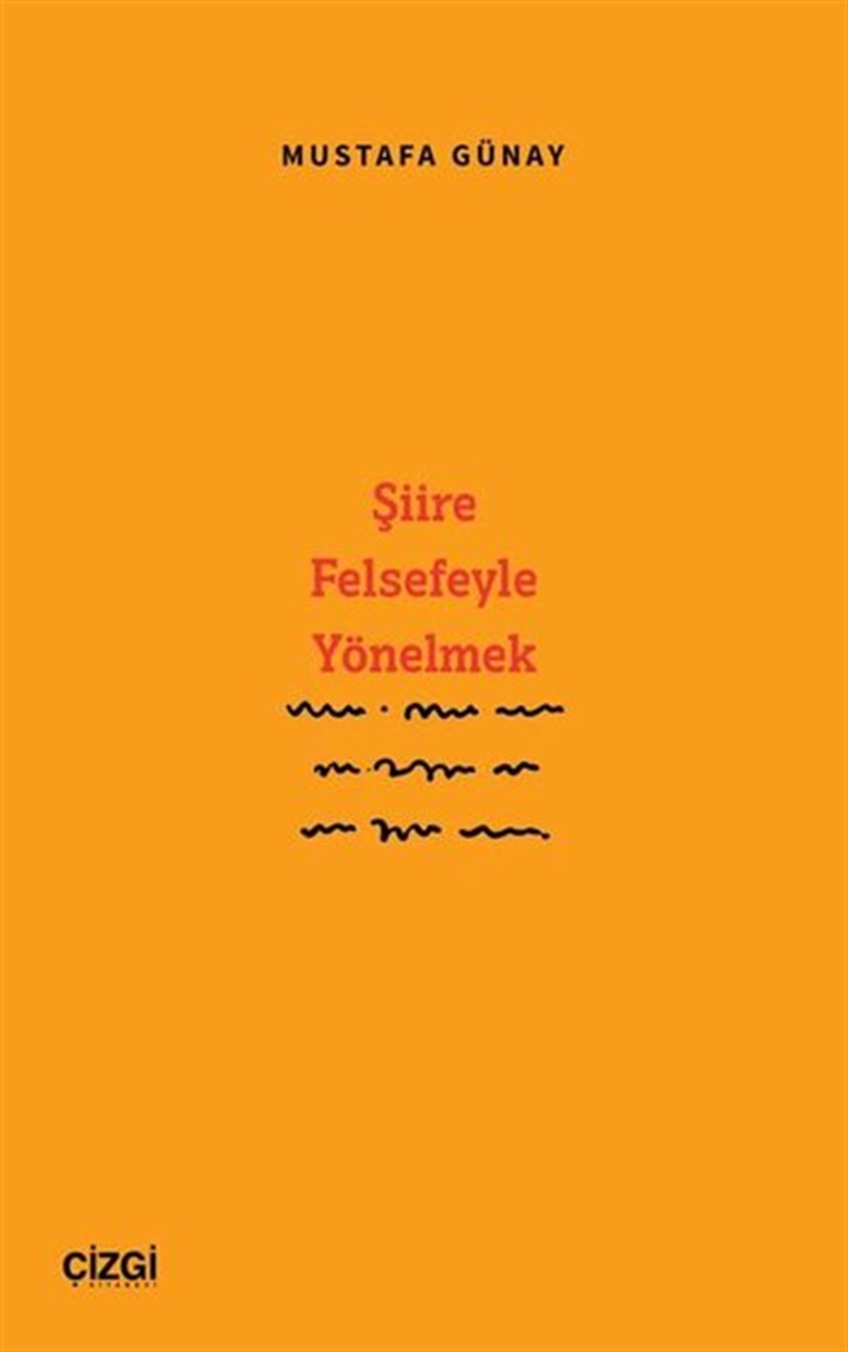 Mustafa GünayFelsefe BilimiŞiire Felsefeyle Yönelmek
