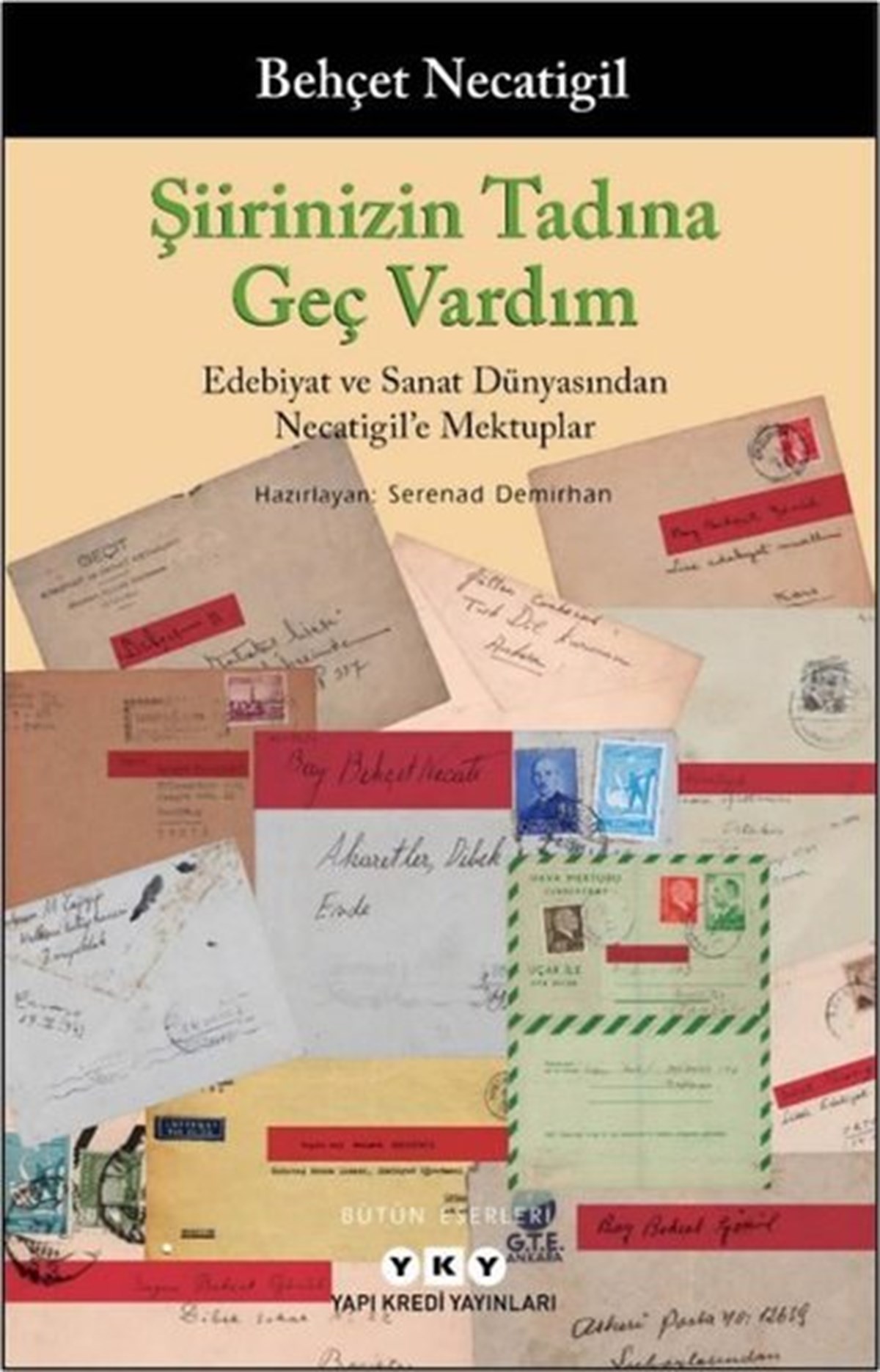 Behçet NecatigilMektupŞiirinizin Tadına Geç Vardım