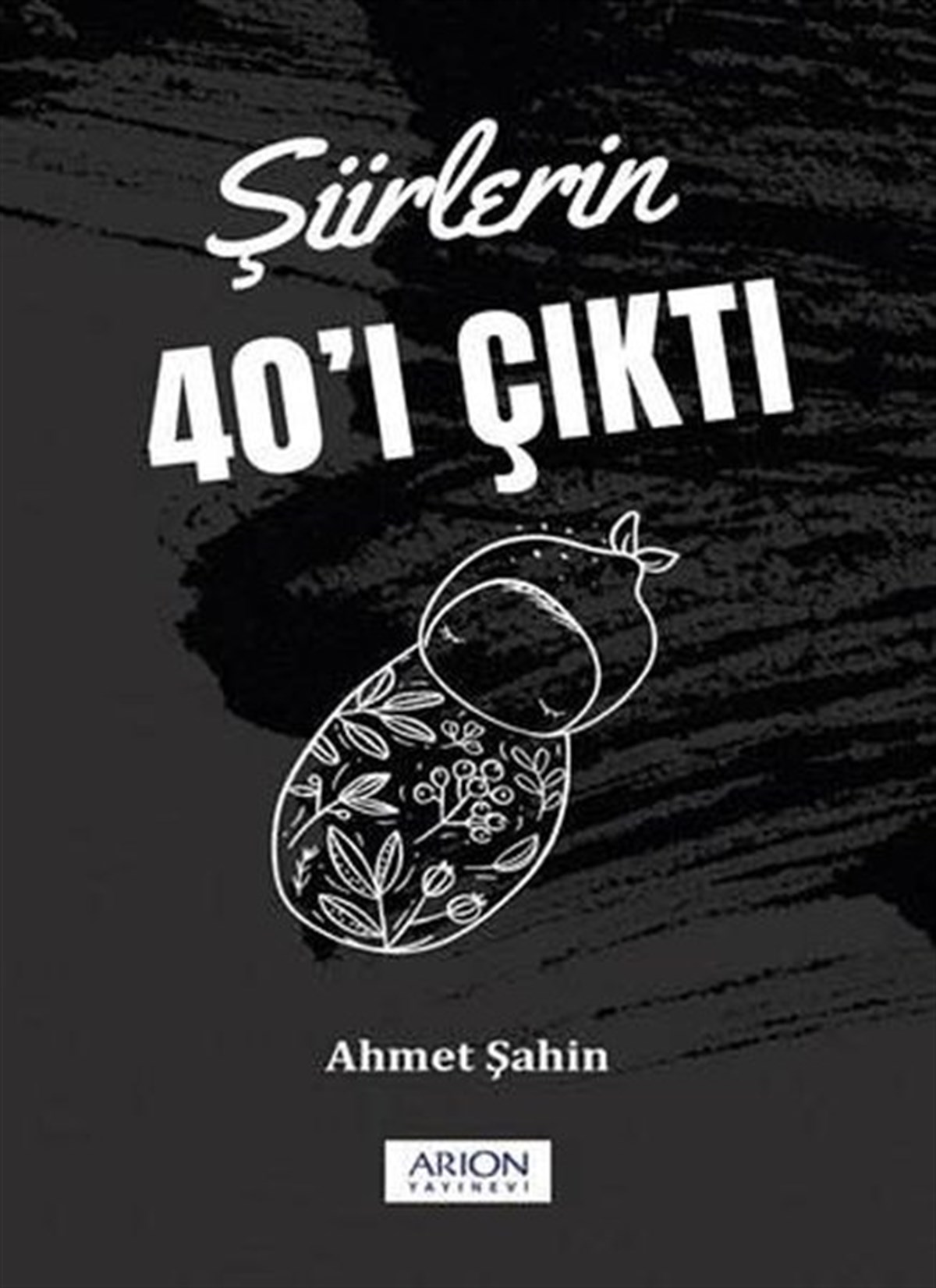 Ahmet ŞahinTürk ŞiiriŞiirlerin 40'ı Çıktı