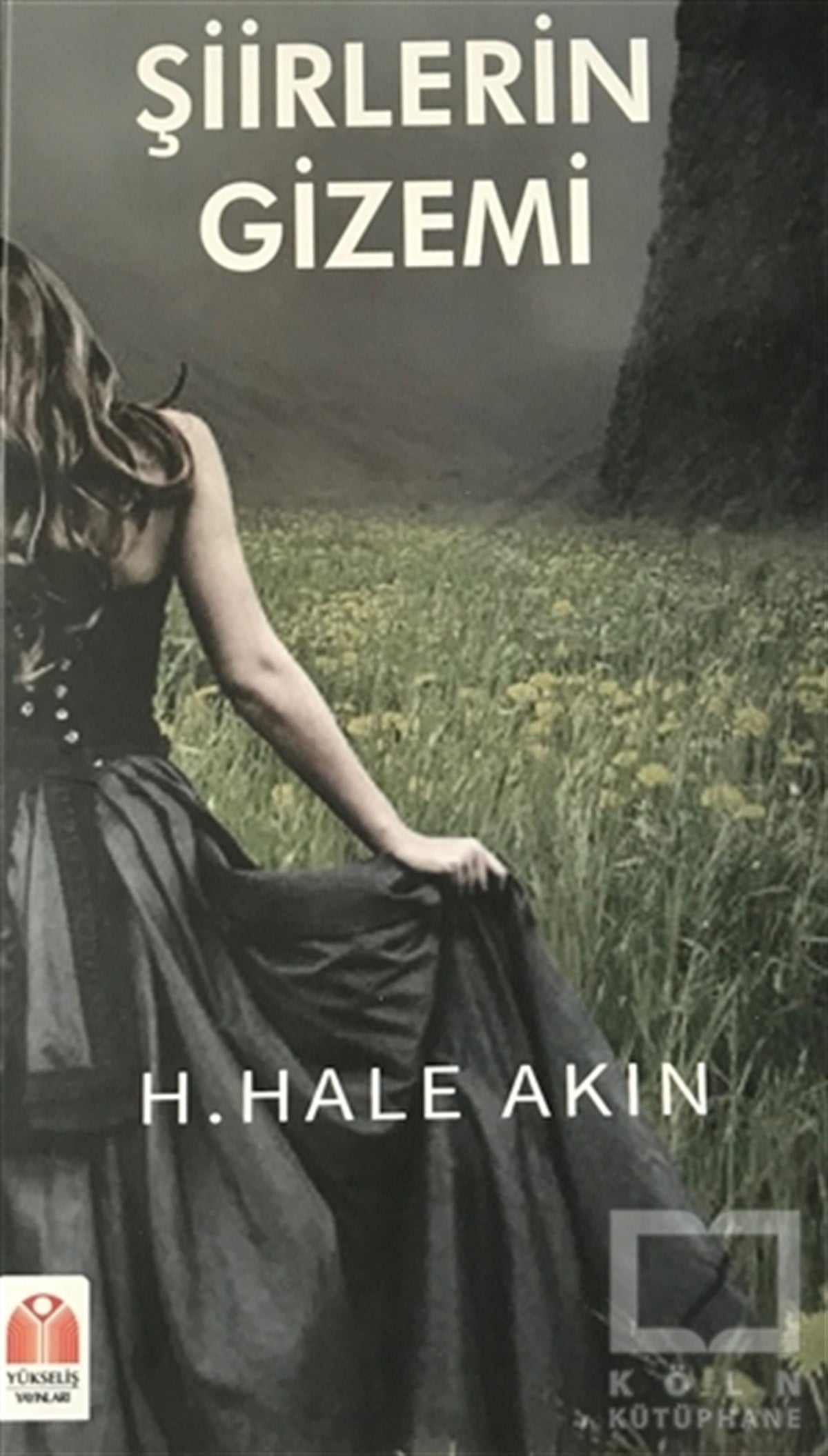 H. Hale AkınŞiirŞiirlerin Gizemi