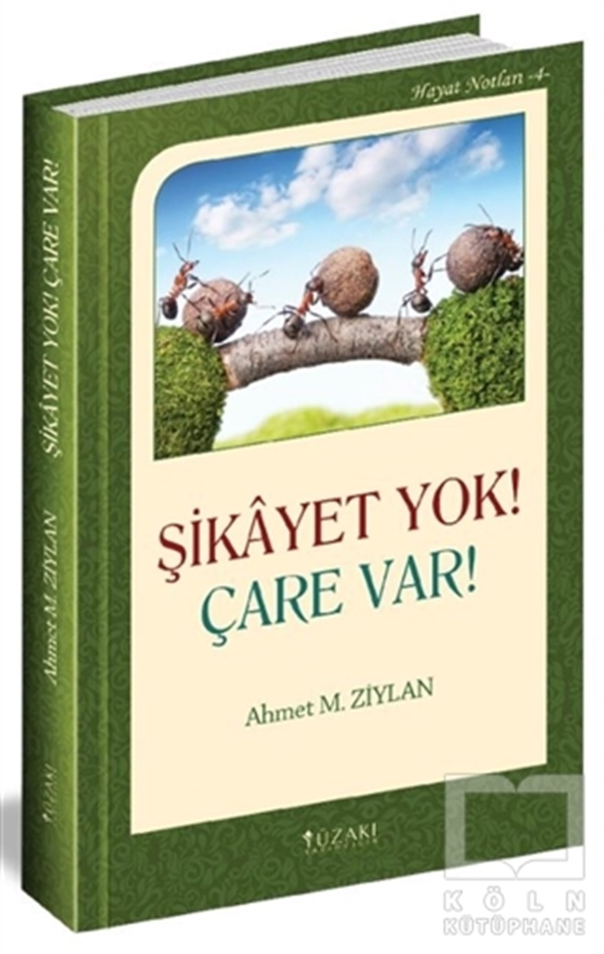 Ahmet M. ZiylanKültürŞikayet Yok! Çare Var!
