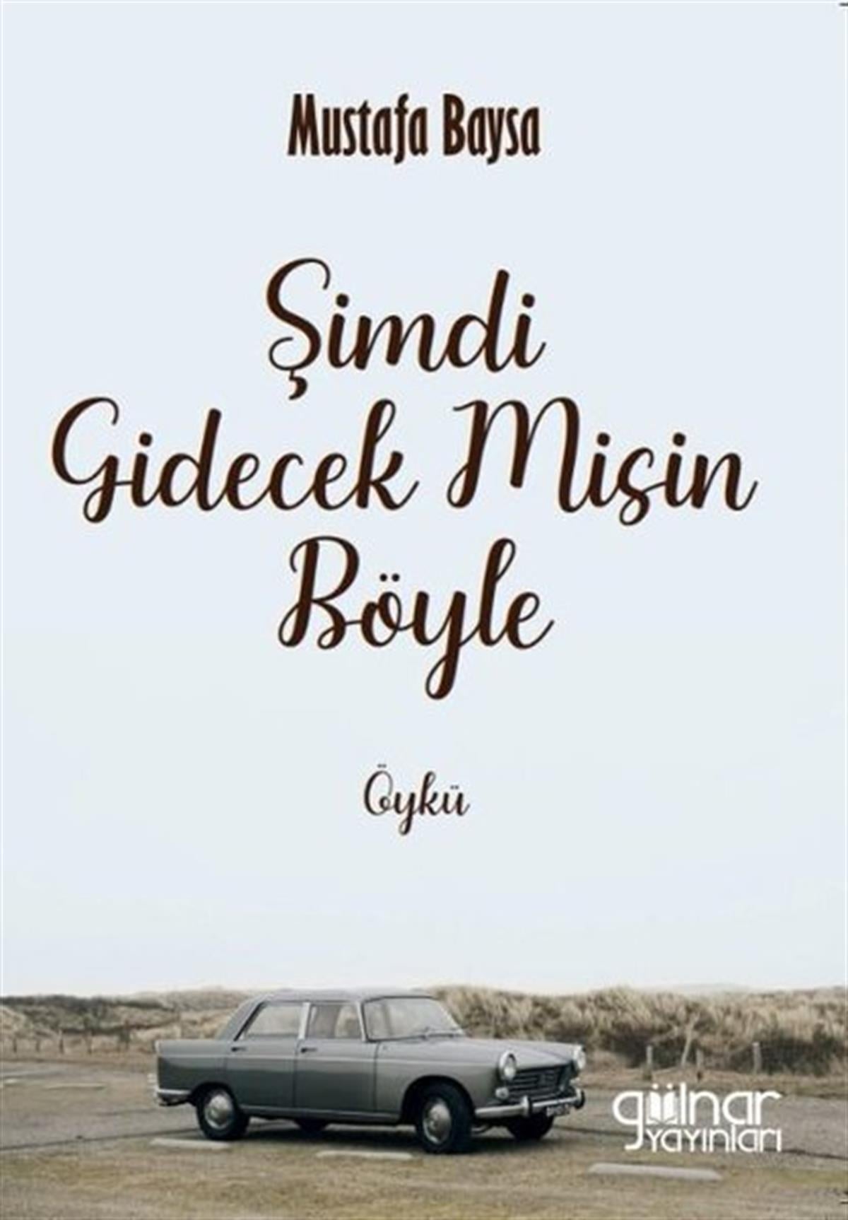 Mustafa BaysaHikaye (Öykü) KitaplarıŞimdi Gidecek misin Böyle