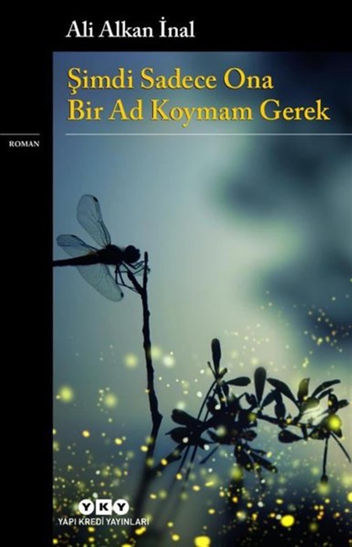 Ali Alkan İnalTürkiye RomanŞimdi Sadece Ona Bir Ad Koymam Gerek