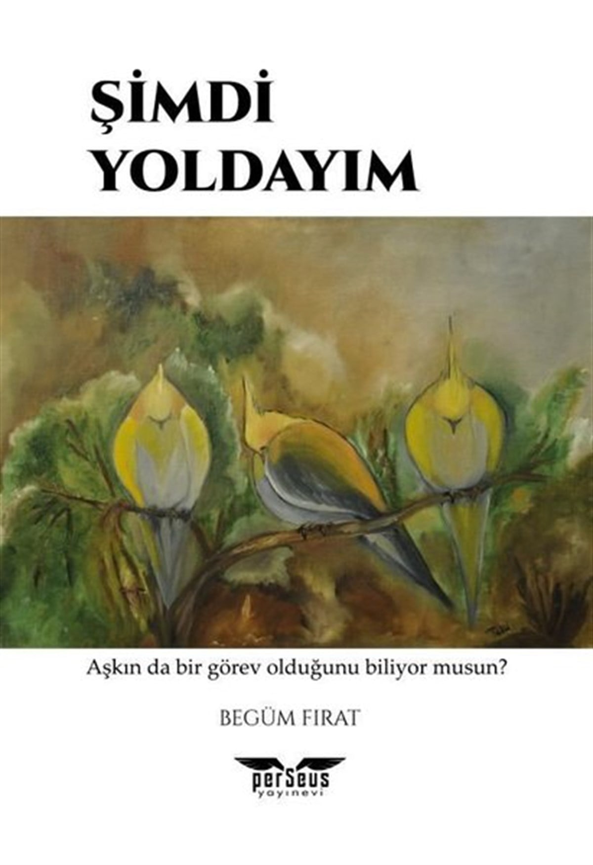 Begüm FıratTürkiye RomanŞimdi Yoldayım