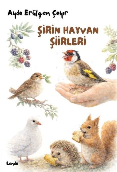 Ayda Erülgen ÇayırÇocuk Gençlik RomanlarıŞirin Hayvan Şiirleri