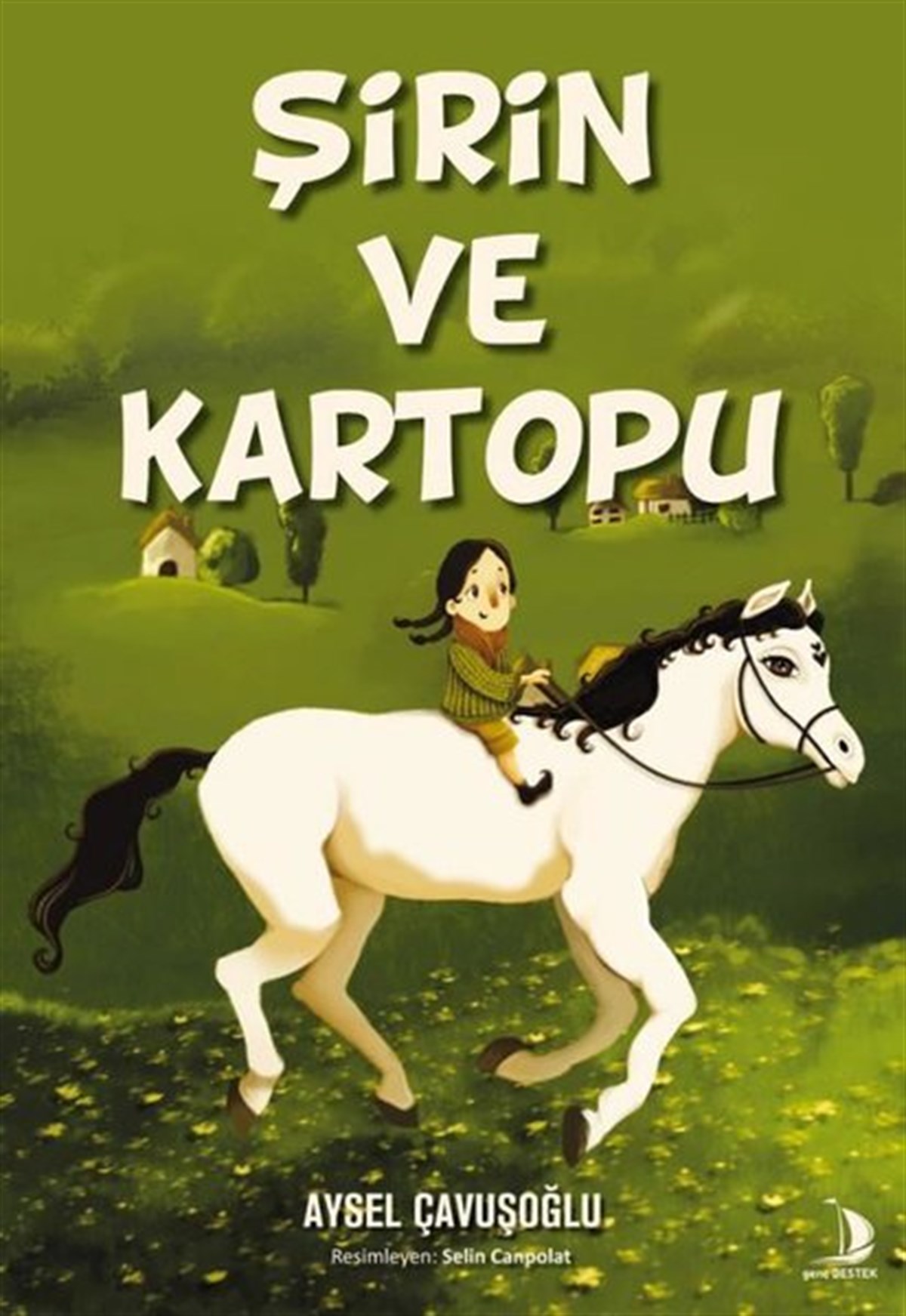 Aysel ÇavuşoğluÇocuk Gençlik RomanlarıŞirin ve Kartopu