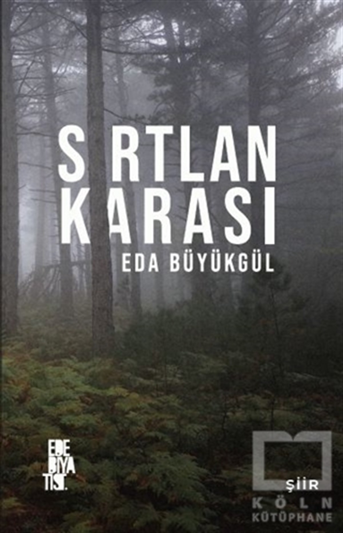Eda BüyükgülTürkçe Şiir KitaplarıSırtlan Karası