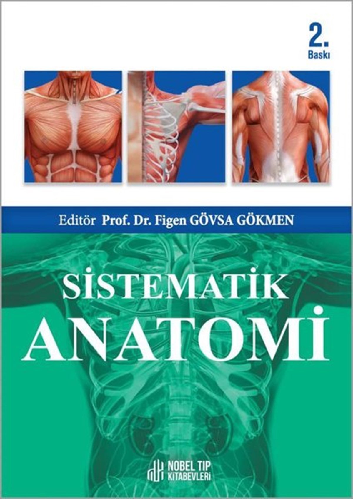 KolektifTıpSistematik Anatomi